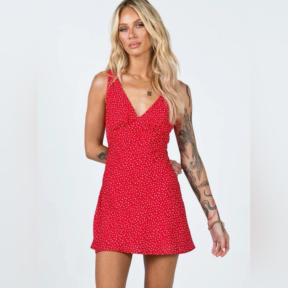 Princess Polly Nellie mini dress NWT red floral Size 2